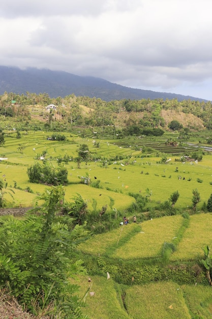 A beautiful panoramic view of Bali Indonesia