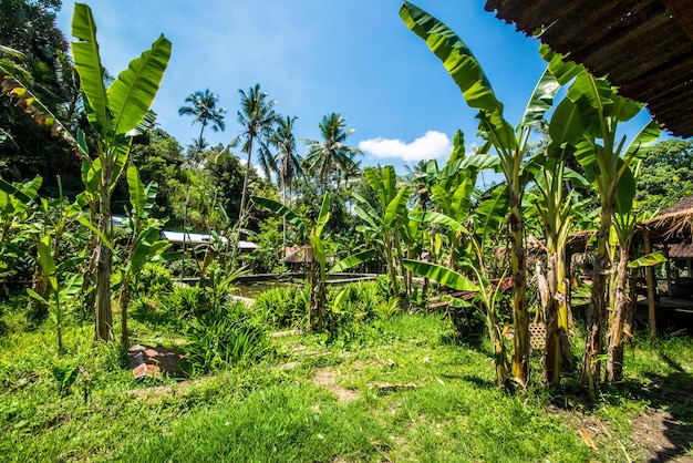 A beautiful panoramic view of Bali Indonesia