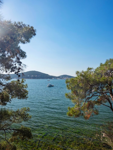 Beautiful panoramic view of the Black Sea with yachts and islands in the background The coast with trees and pines on a sunny summer day