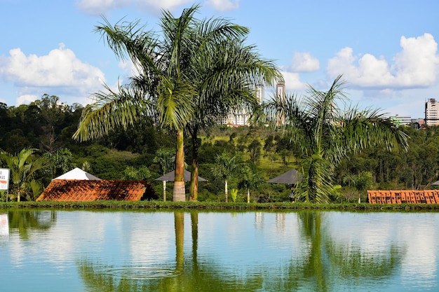 A beautiful panoramic view of brasilia in brazil