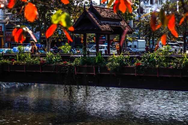 Foto una bellissima vista panoramica di chiang mai thailandia