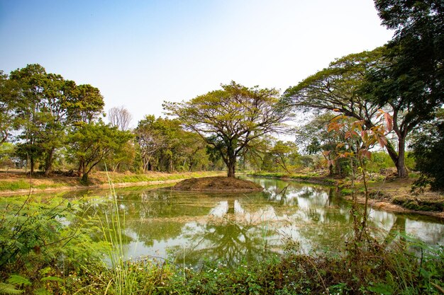 A beautiful panoramic view of Chiang Rai in Thailand