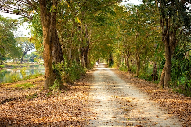 A beautiful panoramic view of Chiang Rai in Thailand