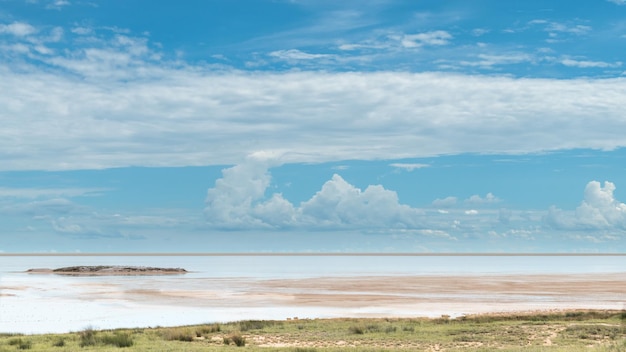 Photo a beautiful panoramic view of the etosha pan