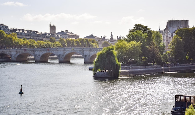 Splendida vista panoramica dalla senna al ponte e al paesaggio urbano dell'isola di sita in una soleggiata giornata estiva parigi francia