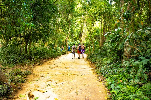 A beautiful panoramic view of Luang Prabang in Laos