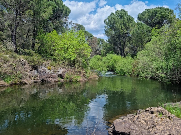 Beautiful panoramic view of a river in nature