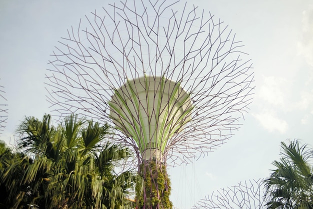 Una bellissima vista panoramica di singapore