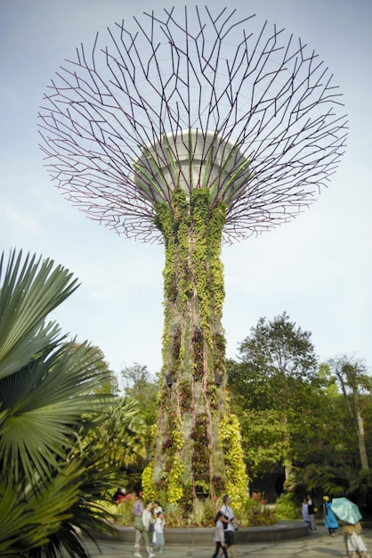 A beautiful panoramic view of Singapore