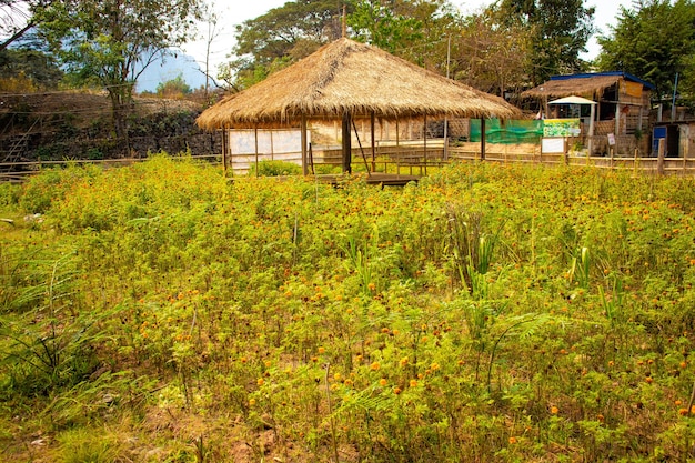 A beautiful panoramic view of Vang Vieng city located in Laos