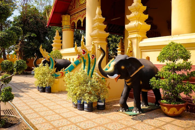 A beautiful panoramic view of Vientiane city in Laos