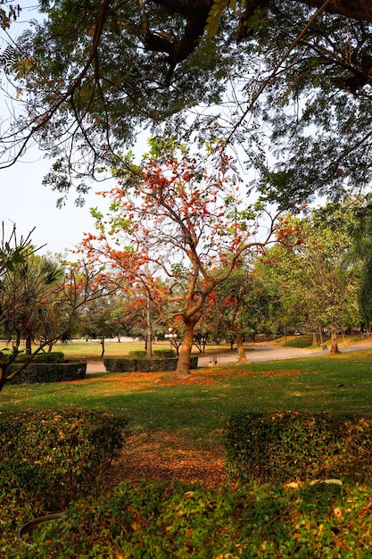 A beautiful panoramic view of Vientiane city in Laos