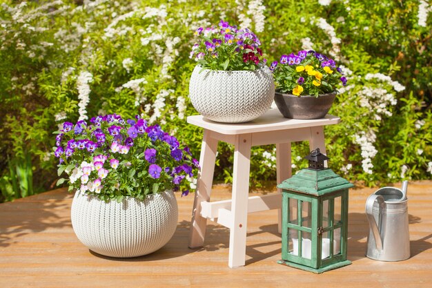 Photo beautiful pansy summer flowers in flowerpots in garden