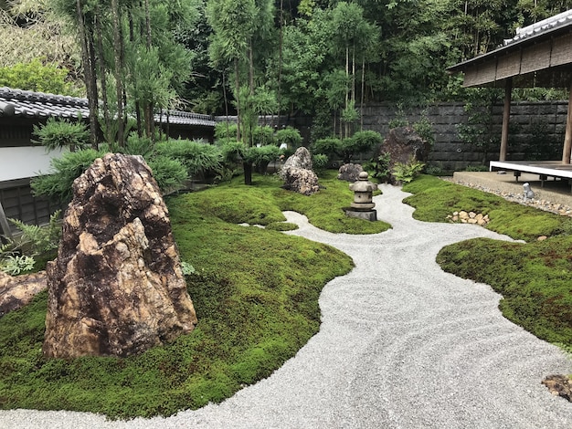 Beautiful park in Japan