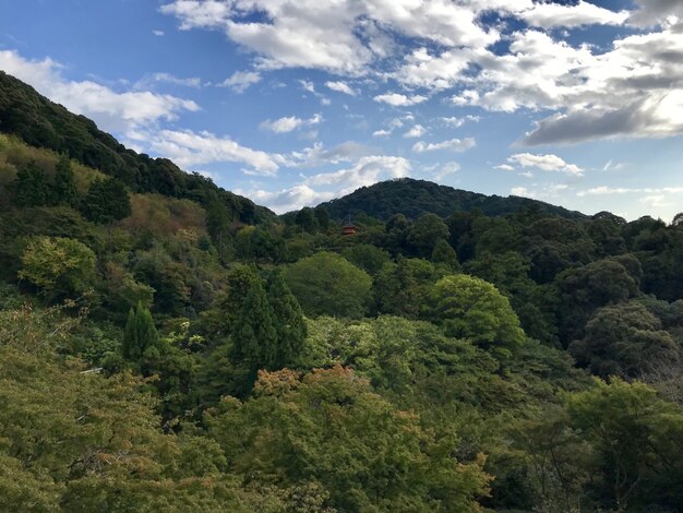 Beautiful park in Japan