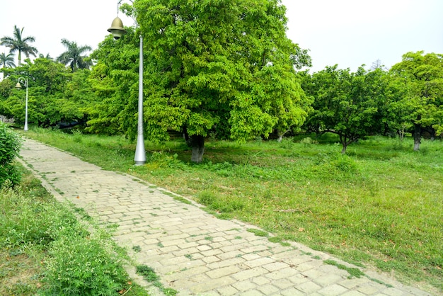 Photo beautiful park scene in public park with green grass field at pinjore garden