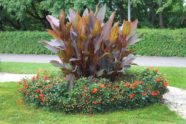 Beautiful park with autumn flowers on the island of flowers