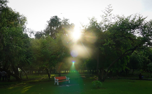 レンズファラーレ画像のある美しい公園