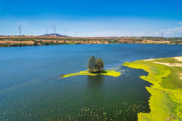 Foto un bellissimo paesaggio pastorale un albero con fogliame rigoglioso sulla riva di una palude tra il muschio verde