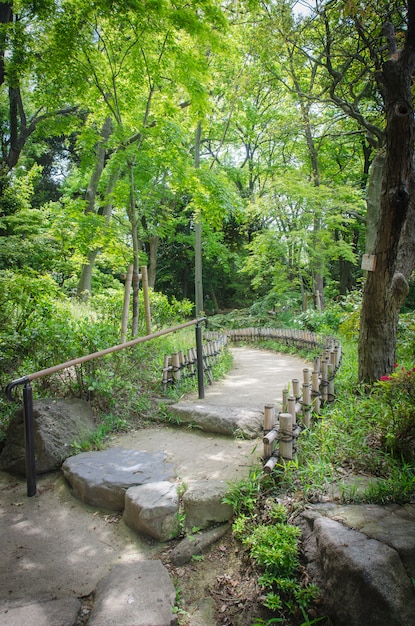 Beautiful path in a japanese style garden. Osaka.