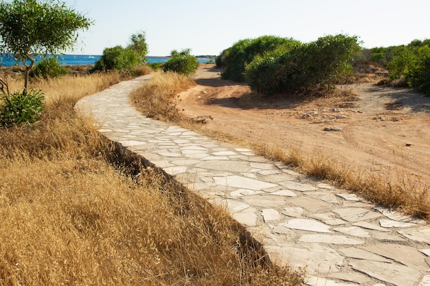 Beautiful path near the sea shore on nature background