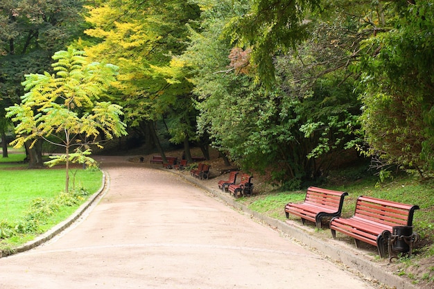 公園の美しい小道