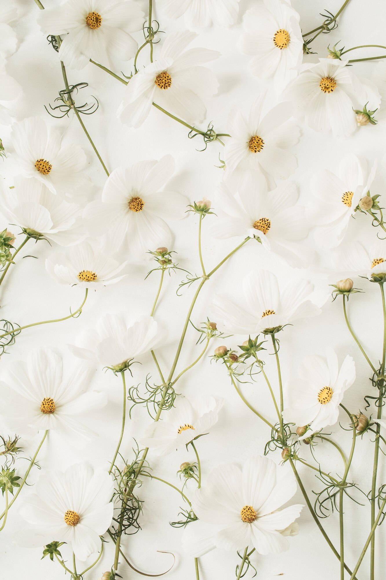 Real Flower Background Images - Free Download on Freepik