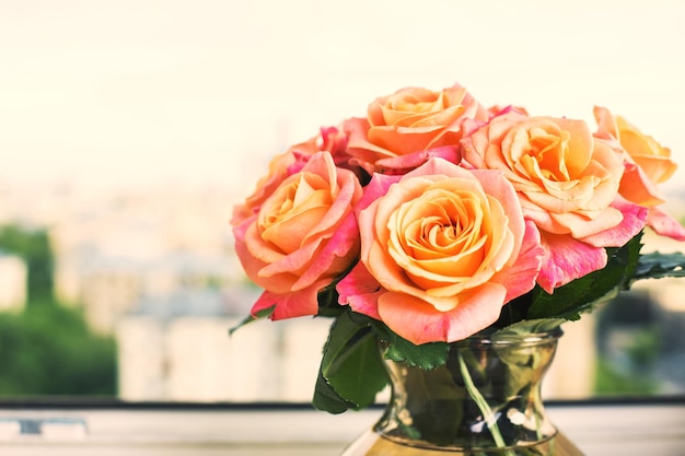 Beautiful peach roses