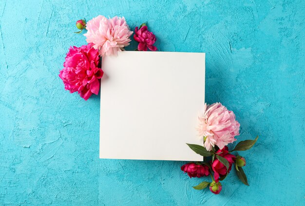 Photo beautiful peonies and empty white square on color background