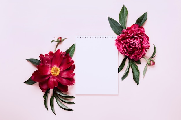 Beautiful peonies and notebook. White Floral background, copy space.