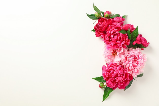 beautiful peonies on white background and top view