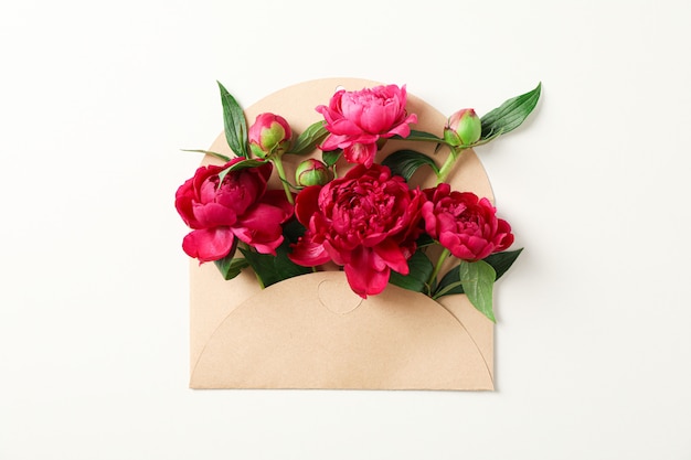 Beautiful peony flowers in envelope on white background