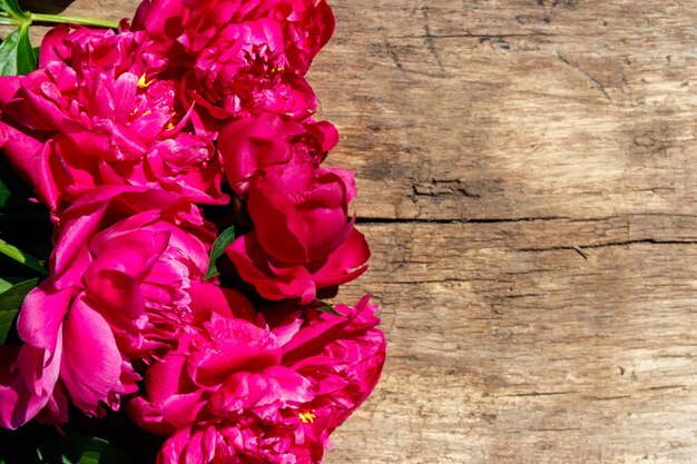 Beautiful peony flowers on rustic wooden background Top view copy space