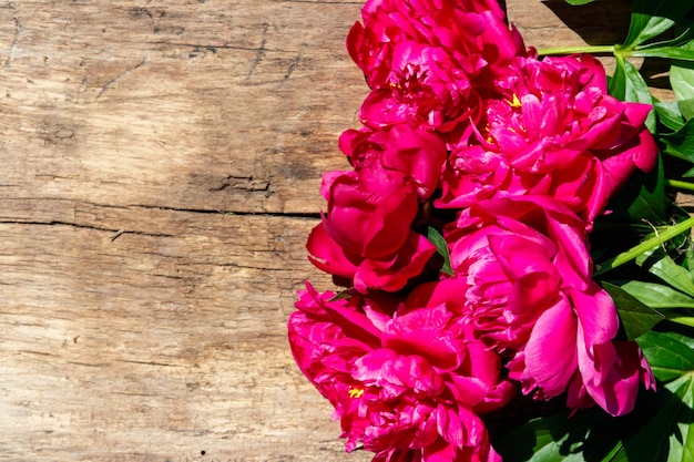 Beautiful peony flowers on rustic wooden background Top view copy space