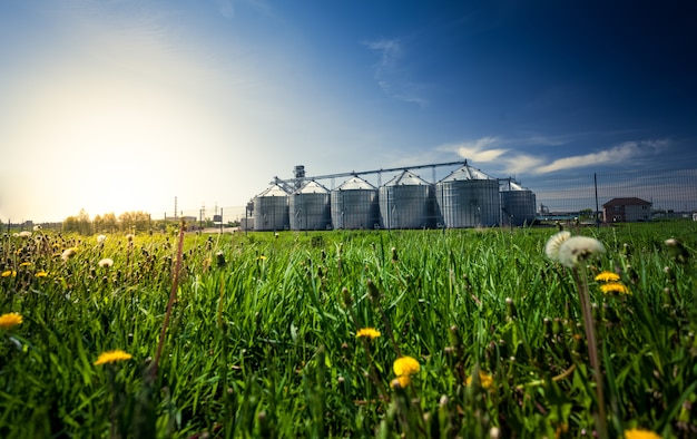 Beautiful photo of grain elevators in meadow at sunset