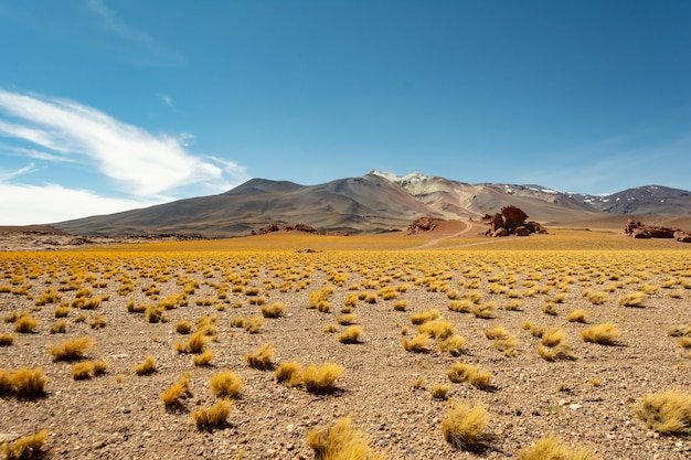 Beautiful picture of mesmerizing mountains under the azure sky