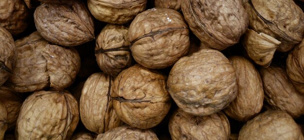 beautiful picture of nuts