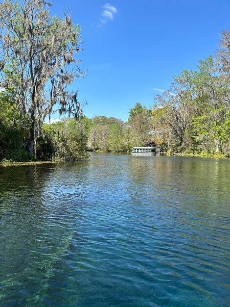 Beautiful picture taken at silver springs in florida