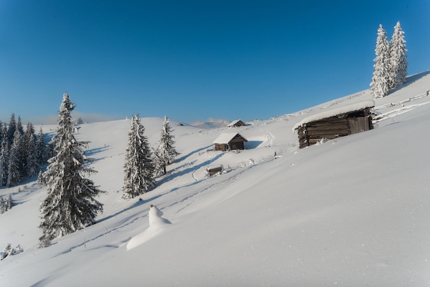 冬の自然の美しい写真。雪の中に山小屋がある風景。