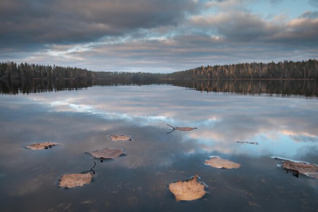 Beautiful picturesque forest lake in the autumn Focus on the foreground