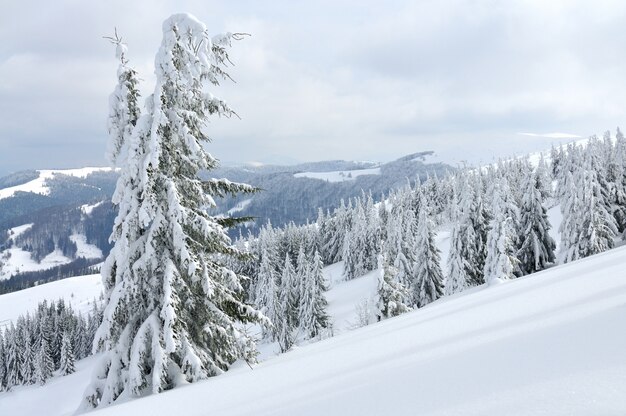 Beautiful picturesque winter slope with funiculars