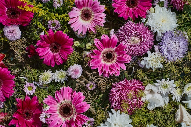 写真 美しいピンクと白の花。アスターとガーベラの花。