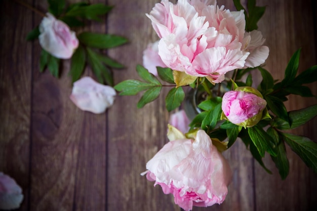 Photo beautiful pink blooming peonies with petals on a wooden table