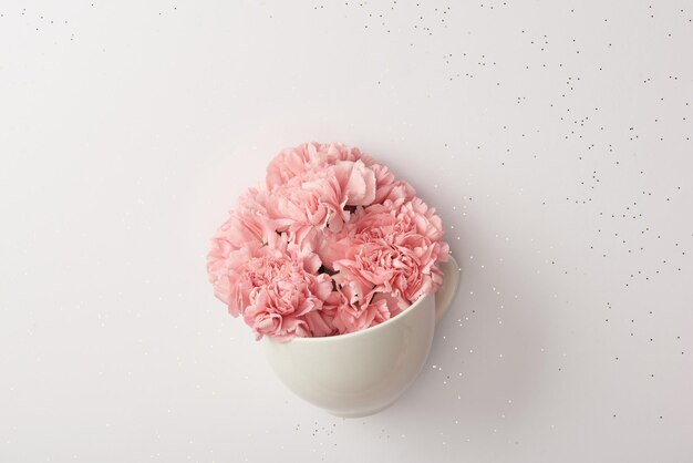 beautiful pink carnation flowers white