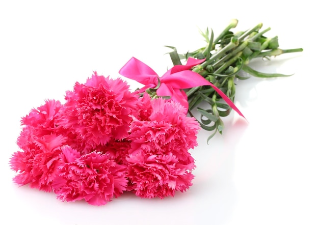 Beautiful pink carnations isolated on white