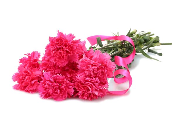 Beautiful pink carnations isolated on white