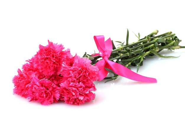 Beautiful pink carnations isolated on white