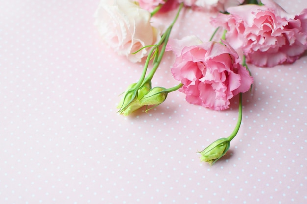 Beautiful pink eustoma flowers (lisianthus) in full bloom with\
buds leaves. bouquet of flowers on pink polka dot background. copy\
space