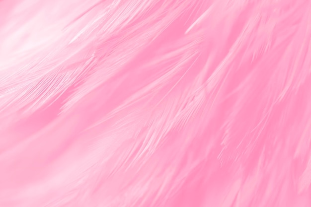 Beautiful Pink Feathers Texture Vintage Background