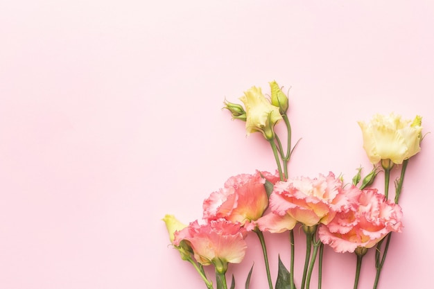 Beautiful pink flower bouquet on pastel